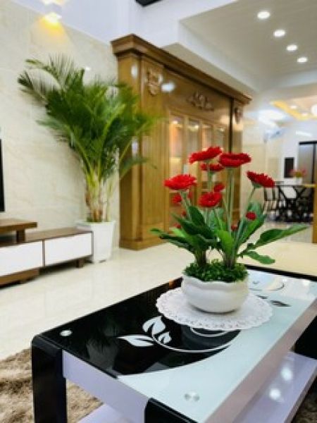Nhà Phố - 4x12m - Đường Phạm Văn Chiêu, Quận Gò Vấp