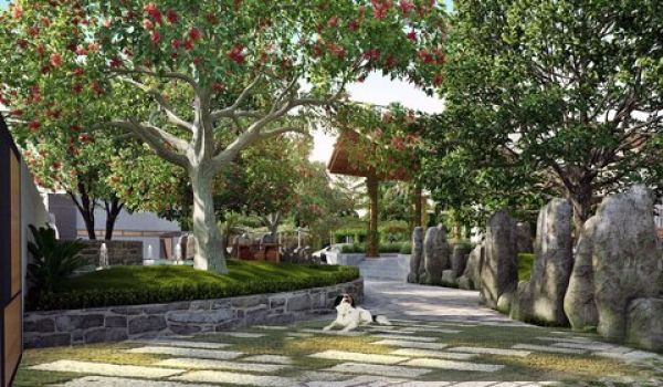 Thiết Kế Thi Công Biệt Thự Vườn Tại Tiền Giang