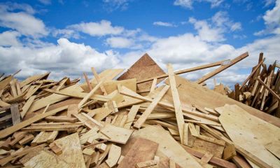 Quy trình tái chế gỗ và một số lợi ích của việc sử dụng gỗ tái chế